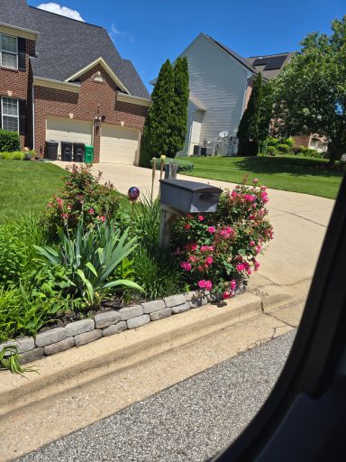 Front House Flowers 2