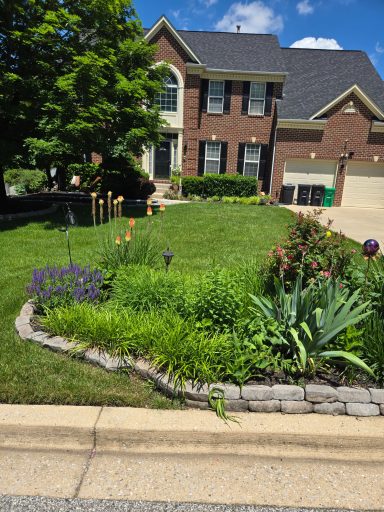 Front House Flowers 2