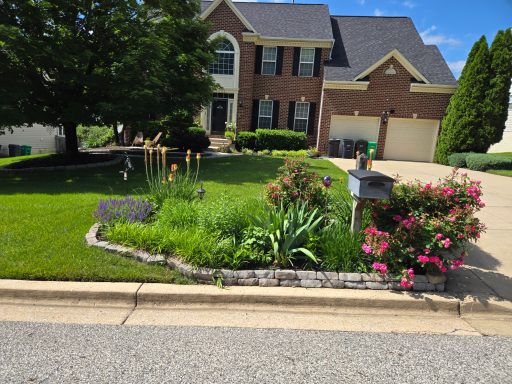 Front House Flowers 2